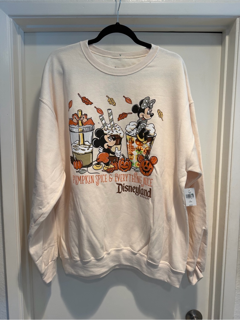 Disney Pumpkin Spice Crewneck Sweatshirt